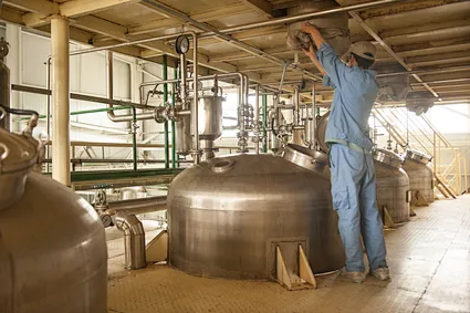 Yeast extractum